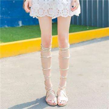 百吉福职业小行家驯兽师